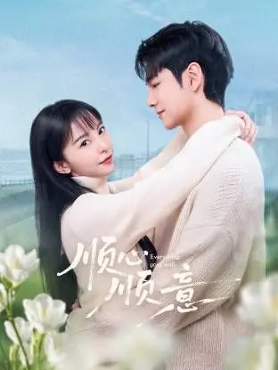 《顺心顺意》：一部充满生活气息的治愈系电影，讲述平凡人生的美好与感动