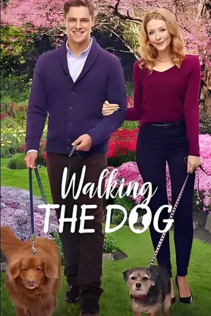 《遛狗》：不止是人与狗的温情，更是一面反映社会现实的镜子，你真的看懂了吗？