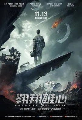 翱翔雄心 海报
